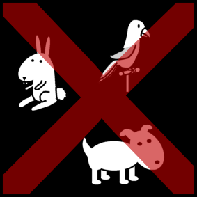 animals